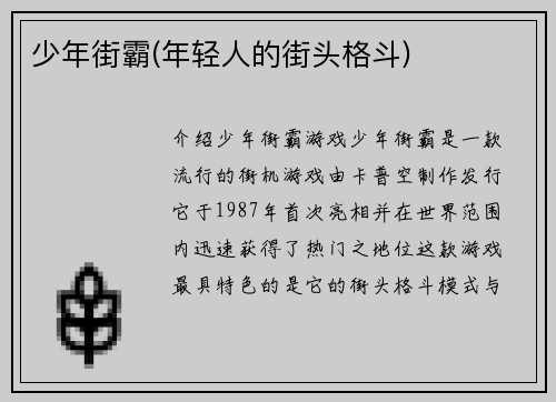 少年街霸(年轻人的街头格斗)